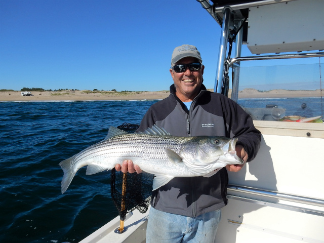 Plum Island Striper